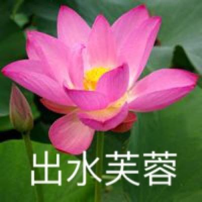 一亿三国梦官方版下载