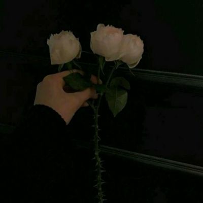 清洗者日记手游下载